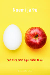 Capa do livro Não está mais aqui quem falou