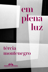 Capa do livro Em plena luz