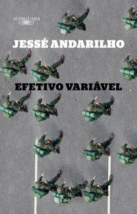 Capa do livro Efetivo variável