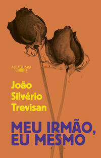 Capa do livro Meu irmão, eu mesmo